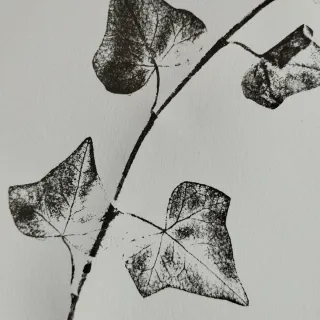 Estampación botánica artesanal