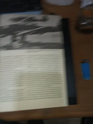 Luftwaffe Ground Attack Units 1939/45