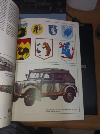 Luftwaffe Ground Attack Units 1939/45