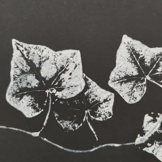 Estampación botánica artesanal