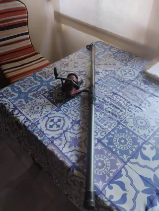 Caña de pescar L. Effe Pro Horizont 420 más carret