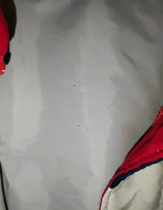 Chaqueta Indianapolis 500 Seventy Eighth