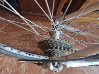 Bicicleta Orbea Blanca