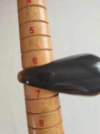 Anillo Cuerno y Plata Espiral