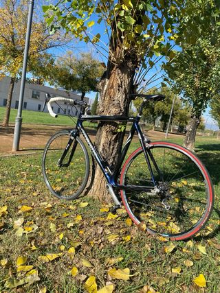 Bicicleta de carretera Trek Madone 5.9 SL Carbono