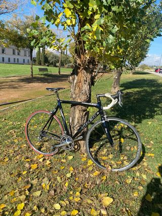 Bicicleta de carretera Trek Madone 5.9 SL Carbono