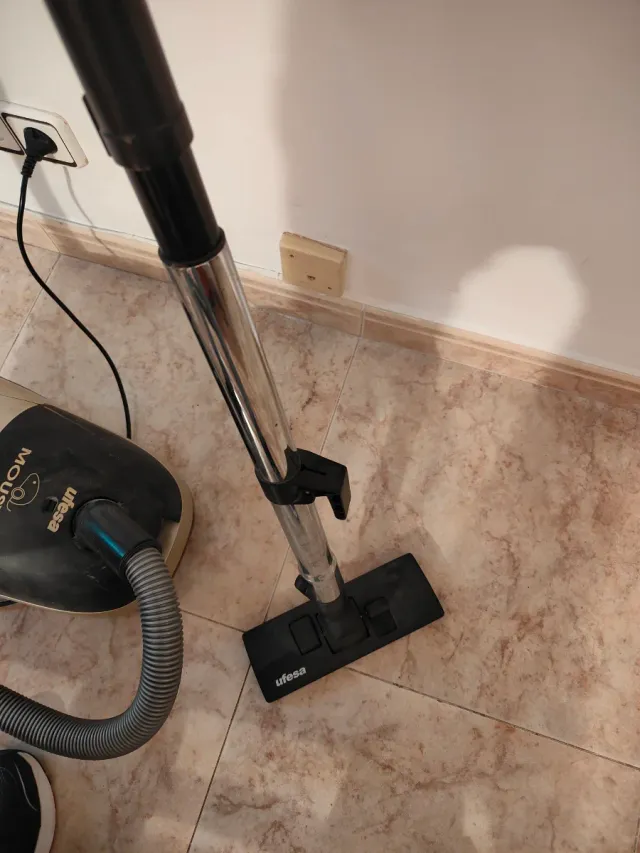 Aspirador Ufesa Mousy Argenta 1500W