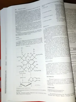 Medicina Interna tratado para la práctica médica