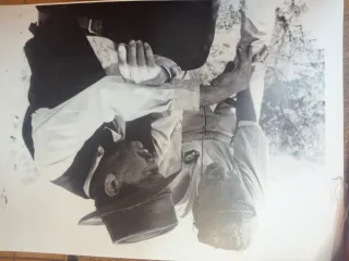 Lote cine: Carteles y Películas