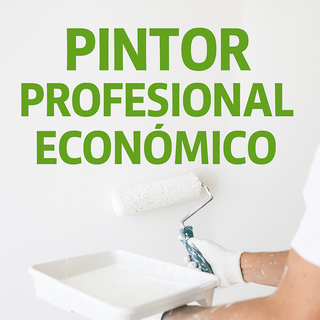 PINTOR ECONOMICO EN PALMA