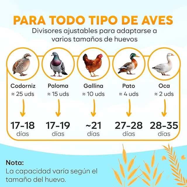 OKKÖBI Incubadora Automática de Ovos 18 Ovos Azul