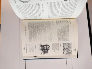 Diccionario de mitologia / Mythology Dictionary...