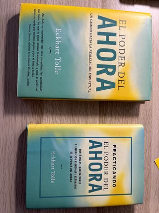 PRACTICANDO EL PODER DEL AHORA: ENSEÑANZAS, MED...