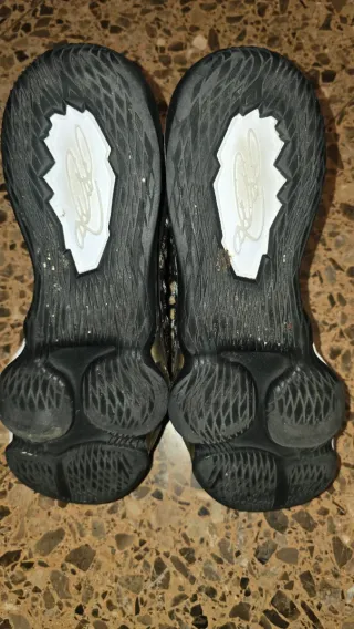 Zapatillas Nike Lebron 17