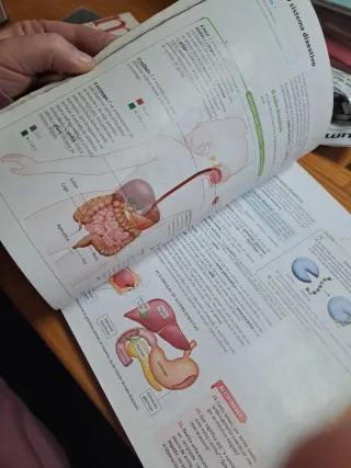 Bioloxía e xeoloxía. 3 ESO. Celme