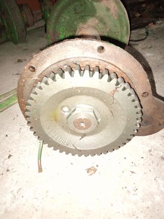 Mangon goldoni