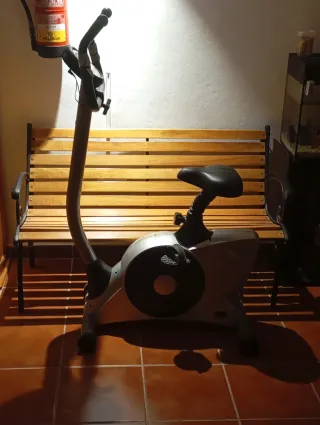 Bicicleta Estática Gris