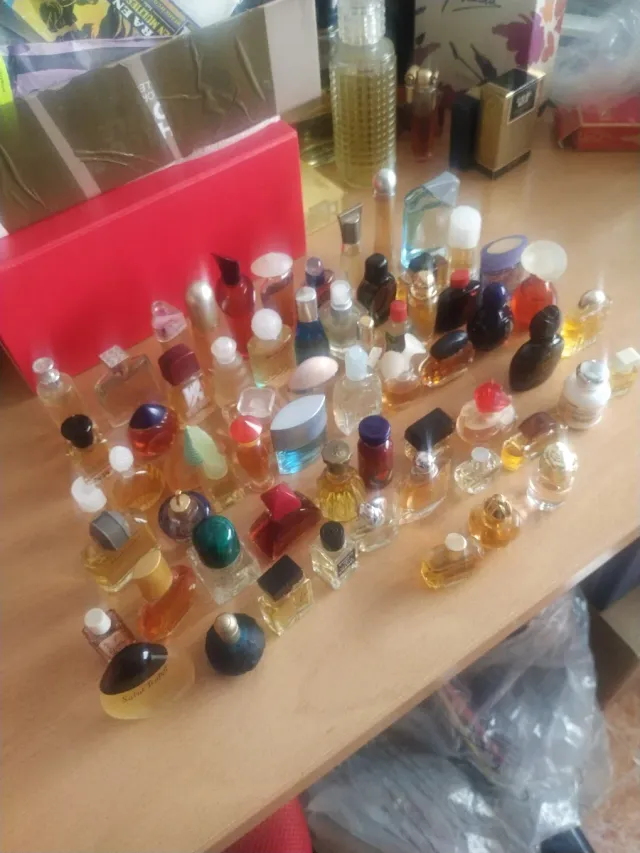 Lote Miniaturas Perfumes Variados