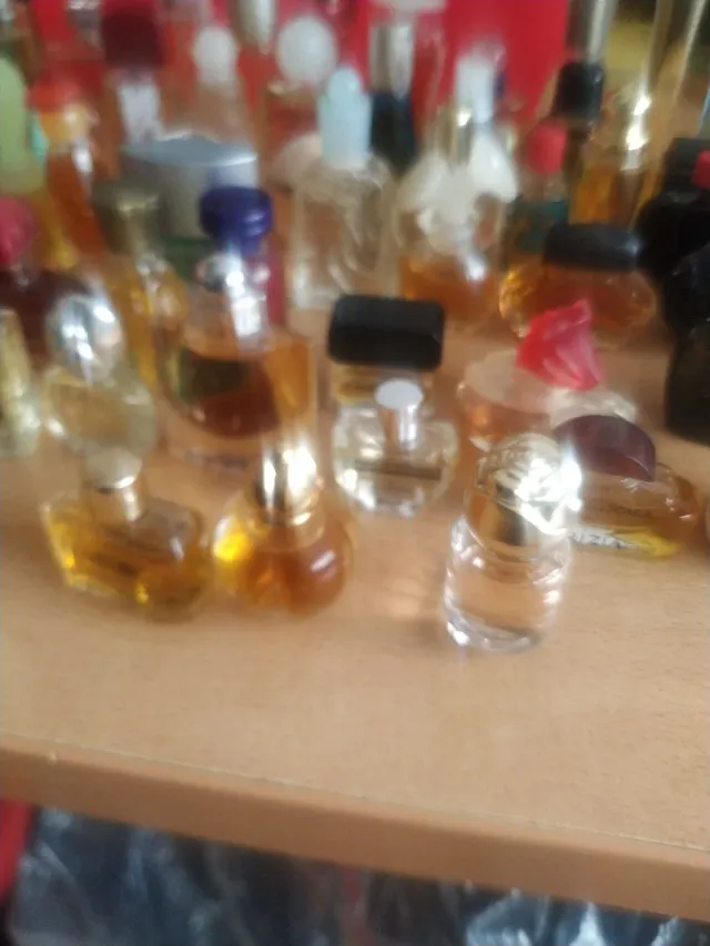 Lote Miniaturas Perfumes Variados