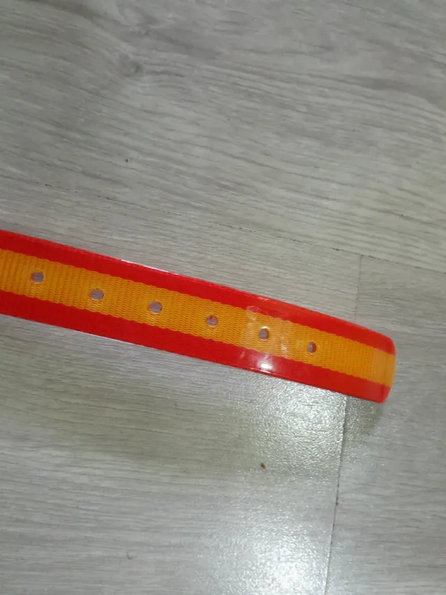 Collar Biothane Personalizado Carlos