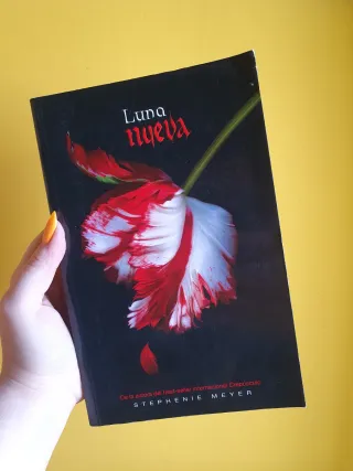 Luna Nueva