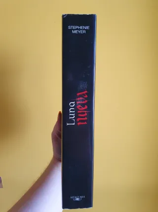 Luna Nueva