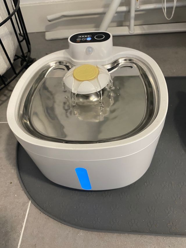 Fuente de agua para gatos