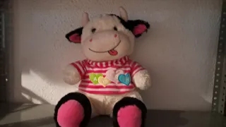 Lote Peluches Varios
