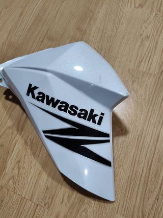 Tapa Lateral Izquierda Kawasaki Z 800