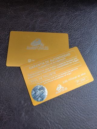 Fósil Trilobites