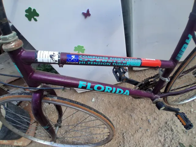 Bicicleta BH Florida