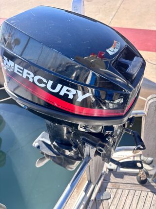 Motor fueraborda Mercury 8CV 2T