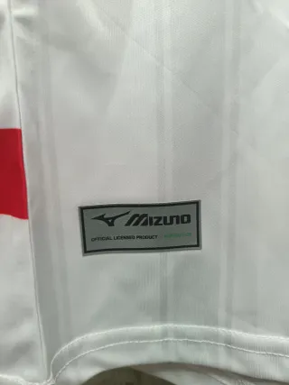 Maglia AS Monaco Pogba