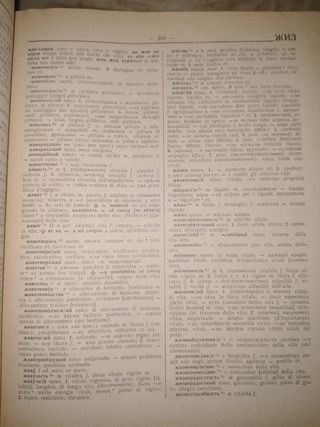 Dizionario russo italiano