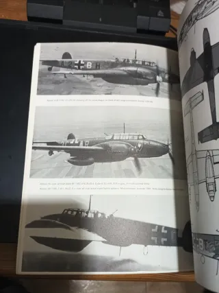 Luftwaffe: Esquemas y Marcajes 1939-45