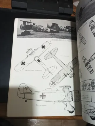 Luftwaffe: Esquemas y Marcajes 1939-45