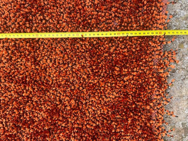 Alfombra naranja y marrón (2 unidades)