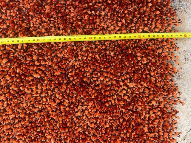 Alfombra naranja y marrón (2 unidades)