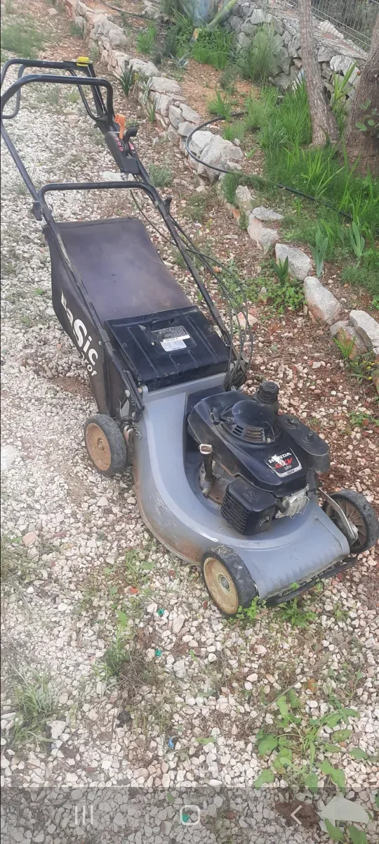 Tagliaerba Honda Professionale