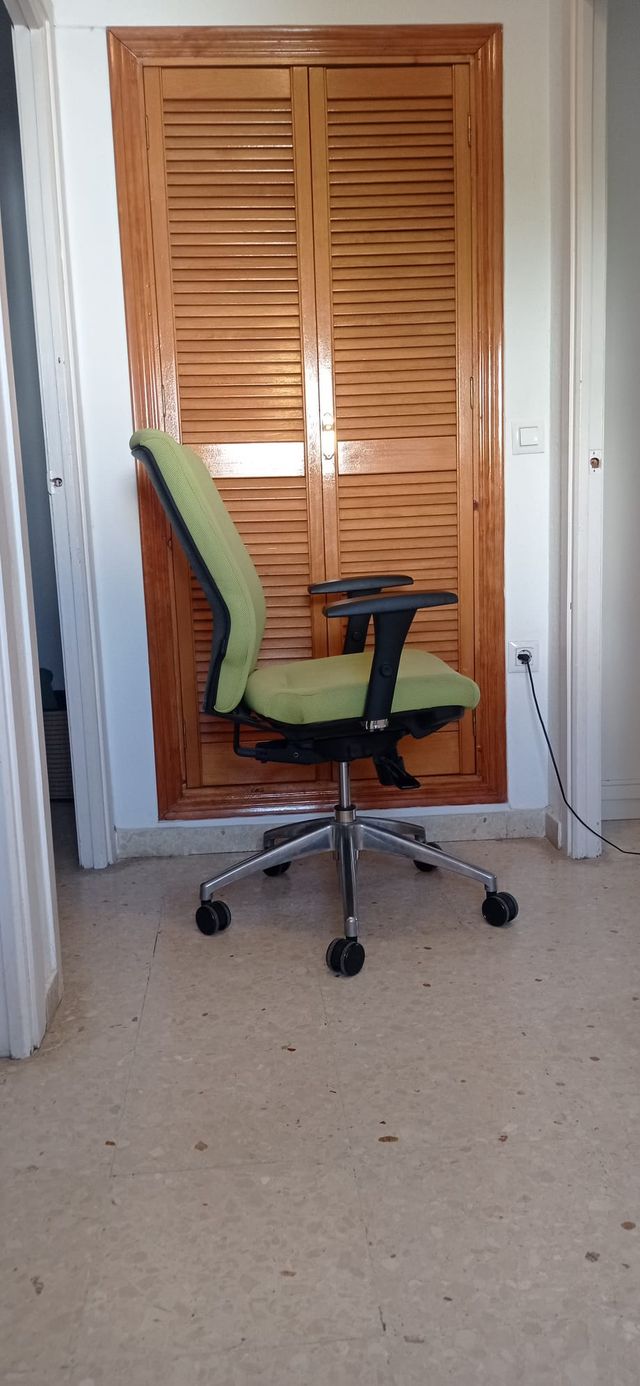 Silla ergonómica Flexa 24 (Precio a convenir)