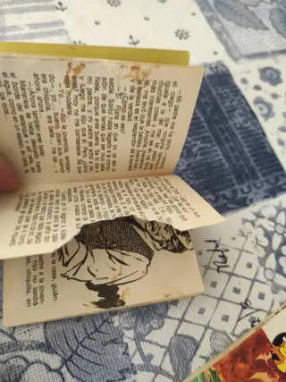 Mini Libros de El Libro Gordo de Petete