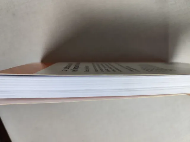 EL PEQUEÑO NICOLAS VUELTA AL COLE (S. NARANJA) ...