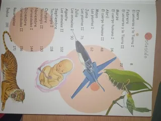 365 Preguntas Y Respuestas (Mejores Cuentos E H...