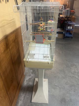 JAULA GRANDE PARA AVES CON PIE Y ACCESORIOS