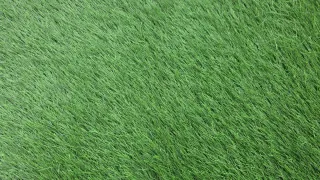 Césped artificial verde