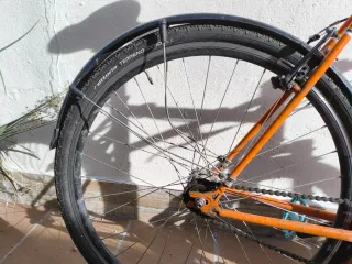 Bicicleta Santafixie Wild