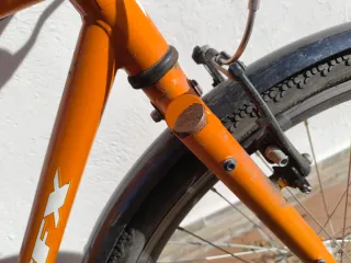 Bicicleta Santafixie Wild