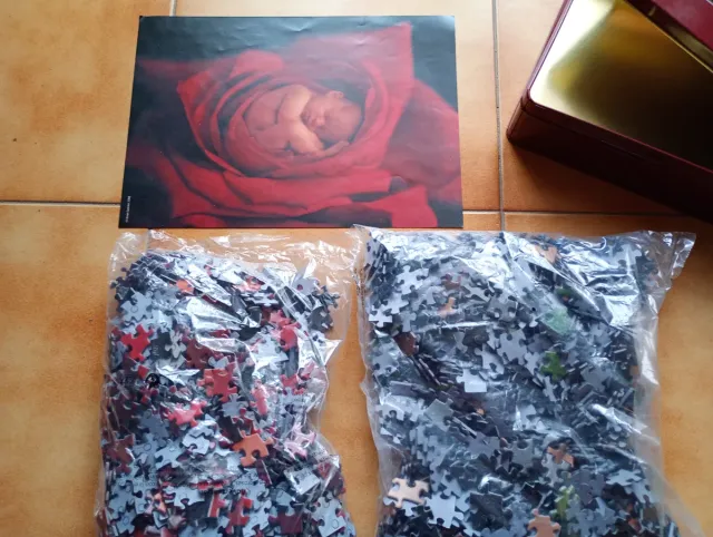 Puzzles Anne Geddes Bebés