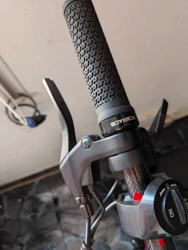 Smartgyro Speedway Patinete Eléctrico