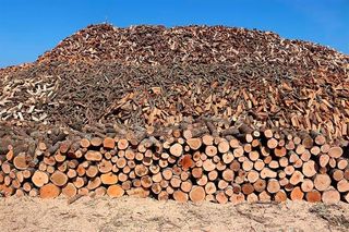 LEÑA A DOMICILIO EN TODA MALLORCA